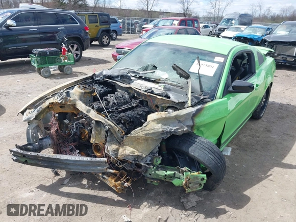 2013 Ford Mustang V6 with VIN 1ZVBP8AM1D5243147, listed as a IAAI auction lot 41975801 with Not provided miles and . Bid and sale history available at DreamBid. Image 6.
