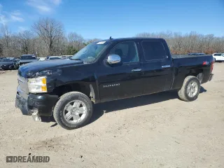 2010 Chevrolet Silverado 1500 LT with VIN 3GCRKSE38AG258831, listed as a Copart auction lot 46121205 with 166,821 mi miles and Salvage Title. Bid and sale history available at carsss.com. Image 1.