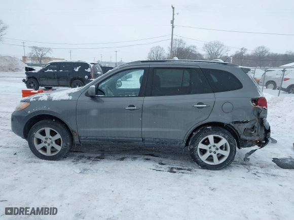 2009 Hyundai Santa Fe SE with VIN 5NMSH13E19H287053, listed as a IAAI auction lot 41600820 with 0 mi miles. Bid and sale history available at carsss.com. Image 15.