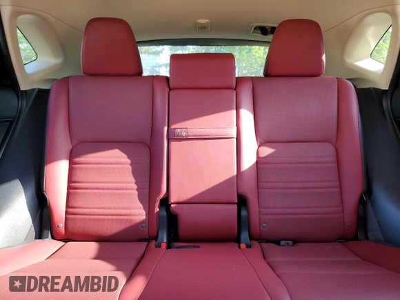 2019 Lexus NX 300 with VIN JTJBARBZ7K2207799, listed as a Copart auction lot 55317495 with 78,161 mi miles and Salvage title. Bid and sale history available at DreamBid. Image 10.