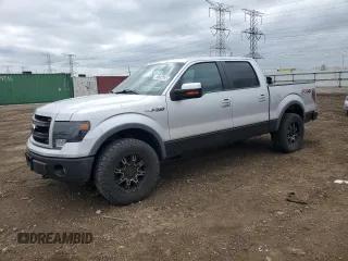 2014 Ford F-150 XL with VIN 1FTFW1EF4EKG43877, listed as a Copart auction lot 55682295 with 166,229 mi miles and Salvage title. Bid and sale history available at DreamBid. Image 1.