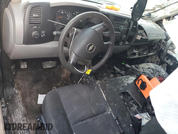 2010 Chevrolet Silverado 1500 LS with VIN 1GCSKREA4AZ159478, listed as a Copart auction lot 42081925 with Not Provided miles and Salvage Title. Bid and sale history available at DreamBid. Image 8.