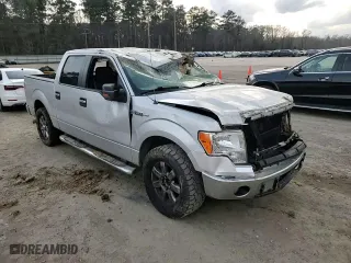 2013 Ford F-150 XL with VIN 1FTFW1CF9DKE64655, listed as a Copart auction lot 44327465 with 176,952 mi miles and Salvage Title. Bid and sale history available at carsss.com. Image 10.