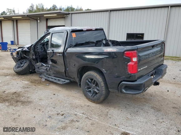 2019 Chevrolet Silverado 1500 Custom Trail Boss with VIN 3GCPYCEF3KG291520, listed as a Copart auction lot 82013774 with 0 mi miles and Salvage Title. Bid and sale history available at carsss.com. Image 2.