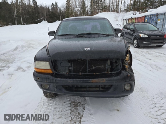 2000 Dodge Dakota Sport with VIN 1B7GG22N9YS708746, listed as a Copart auction lot 47067725 with 292,586 mi miles and Salvage Title. Bid and sale history available at carsss.com. Image 5.