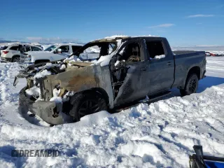 2021 Chevrolet Silverado 1500 Custom Trail Boss with VIN 1GCPYCEF3MZ249092, listed as a Copart auction lot 87238014 with Not Provided miles and Salvage Title. Bid and sale history available at DreamBid. Image 1.