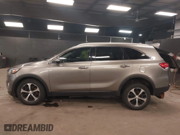 2016 Kia Sorento EX with VIN 5XYPH4A19GG033153, listed as a IAAI auction lot 41750622 with 118,044 mi miles. Bid and sale history available at carsss.com. Image 14.