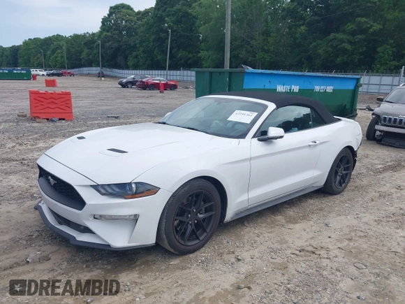 2020 Ford Mustang EcoBoost with VIN 1FATP8UH2L5119009, listed as a IAAI auction lot 42251261 with 80,725 mi miles and . Bid and sale history available at DreamBid. Image 19.
