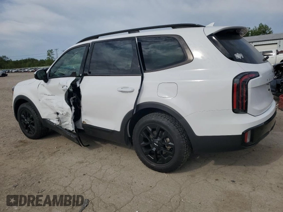 2024 Kia Telluride SX Prestige X-Pro with VIN 5XYP5DGC7RG515009, listed as a Copart auction lot 56064165 with 27,169 mi miles and Salvage title. Bid and sale history available at DreamBid. Image 2.