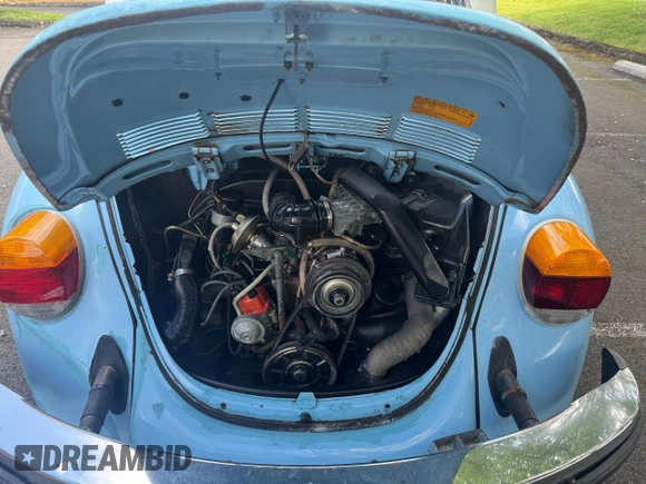 1979 Volkswagen Beetle with VIN 1592035534, listed as a Copart auction lot 66777175 with 9,711 mi miles and Clean title. Bid and sale history available at DreamBid. Image 7.