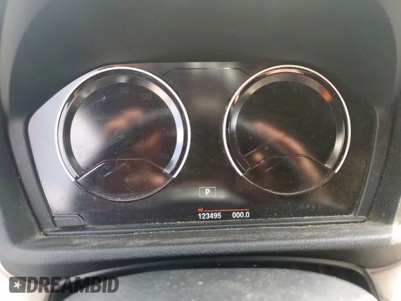 2018 BMW X2 sDrive28i with VIN WBXYJ3C39JEJ84109, listed as a Copart auction lot 53585265 with 123,495 mi miles and Clean title. Bid and sale history available at DreamBid. Image 9.