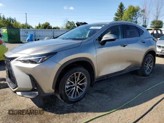 2023 Lexus NX with VIN 2T2ADCEZ2PC003530, listed as a Copart auction lot 67998304 with 10,784 mi miles and Salvage Title. Bid and sale history available at carsss.com. Image 1.