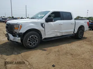 2023 Ford F-150 XL with VIN 1FTEW1EP7PFB66555, listed as a Copart auction lot 59384665 with 28,495 mi miles and Salvage title. Bid and sale history available at DreamBid. Image 1.