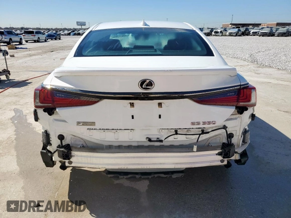 2019 Lexus ES with VIN 58ABZ1B18KU011919, listed as a Copart auction lot 49917705 with 46,015 mi miles and Salvage Title. Bid and sale history available at carsss.com. Image 6.