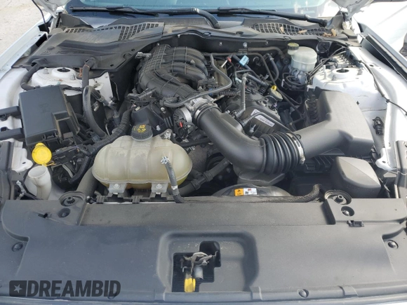 2016 Ford Mustang V6 with VIN 1FA6P8AM0G5322971, listed as a Copart auction lot 51951905 with 55,600 mi miles and Salvage Title. Bid and sale history available at carsss.com. Image 11.