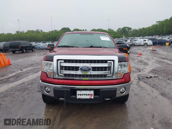2013 Ford F-150 XL with VIN 1FTFW1EF6DFB48555, listed as a IAAI auction lot 42160534 with 134,289 mi miles and . Bid and sale history available at carsss.com. Image 12.