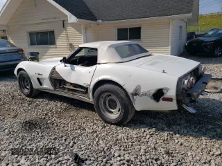1974 Chevrolet Corvette with VIN 1Z67J4S405054, listed as a Copart auction lot 66356575 with 7,810 mi miles and Salvage title. Bid and sale history available at DreamBid. Image 2.