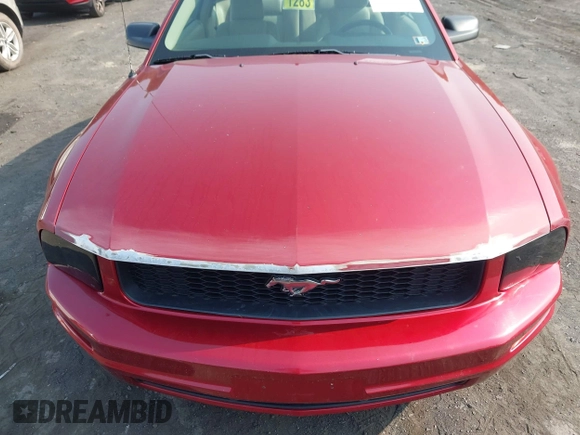 2005 Ford Mustang Deluxe with VIN 1ZVFT80N655177798, listed as a IAAI auction lot 42411831 with 112,236 mi miles and . Bid and sale history available at DreamBid. Image 12.