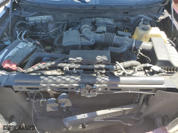 2010 Ford F-150 XL with VIN 1FTFW1EV9AFC27821, listed as a Copart auction lot 51438404 with 203,873 mi miles and Salvage Title. Bid and sale history available at carsss.com. Image 11.