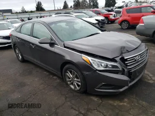 2016 Hyundai Sonata SE with VIN 5NPE24AF0GH382523, listed as a Copart auction lot 45499485 with 114,038 mi miles and Salvage Title. Bid and sale history available at carsss.com. Image 4.