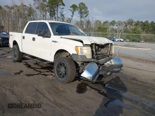 2013 Ford F-150 XL с VIN 1FTFW1EF1DKD13578, выставлен на аукционе IAAI как лот 41590263 с пробегом 192 230 миль миль и . История ставок и продаж доступна на DreamBid. Изображение 1.