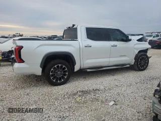 2022 Toyota Tundra Limited with VIN 5TFJA5ABXNX009687, listed as a Copart auction lot 83356634 with 19,110 mi miles and Salvage title. Bid and sale history available at DreamBid. Image 3.
