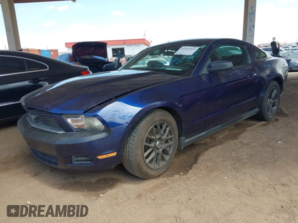 2011 Ford Mustang V6 with VIN 1ZVBP8AM5B5137104, listed as a IAAI auction lot 42183969 with 154,402 mi miles and . Bid and sale history available at DreamBid. Image 2.