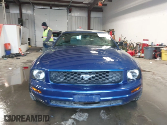 2006 Ford Mustang Standard with VIN 1ZVFT84N365217671, listed as a IAAI auction lot 41633515 with 80,637 mi miles and . Bid and sale history available at DreamBid. Image 13.