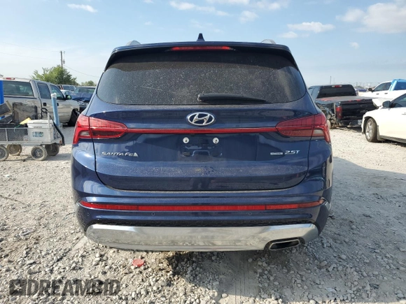 2021 Hyundai Santa Fe Calligraphy with VIN 5NMS5DAL1MH316247, listed as a Copart auction lot 63686564 with 54,291 mi miles and Clean title. Bid and sale history available at DreamBid. Image 6.