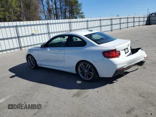 2015 BMW 2 Series 228i with VIN WBA1F5C56FV343489, listed as a Copart auction lot 43432594 with 109,196 mi miles. Bid and sale history available at carsss.com. Image 2.