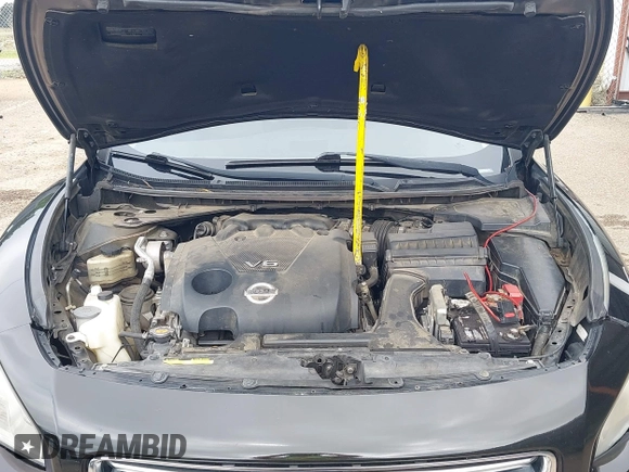 2013 Nissan Maxima SV с VIN 1N4AA5AP6DC847576, выставлен на аукционе IAAI как лот 42482471 с пробегом 201 012 миль миль и . История ставок и продаж доступна на DreamBid. Изображение 10.