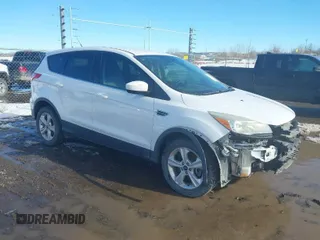 2013 Ford Escape SE with VIN 1FMCU9GX2DUD19077, listed as a IAAI auction lot 41578028 with 124,890 mi miles. Bid and sale history available at carsss.com. Image 1.
