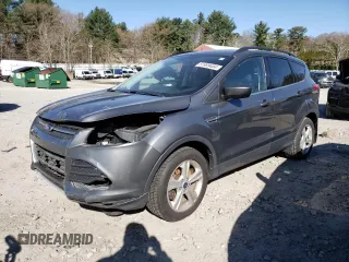 2014 Ford Escape SE with VIN 1FMCU9G9XEUD67445, listed as a Copart auction lot 51999404 with 83,101 mi miles and Clean Title. Bid and sale history available at carsss.com. Image 1.