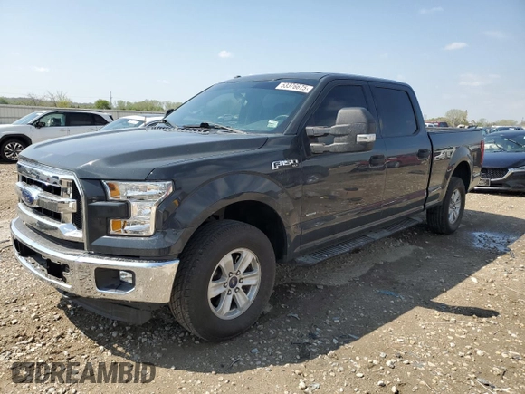 2017 Ford F-150 XL with VIN 1FTFW1EG1HKD84861, listed as a Copart auction lot 53376675 with 117,301 mi miles and Salvage title. Bid and sale history available at DreamBid. Image 1.