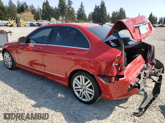 2009 Mercedes-Benz C 300 Sport with VIN WDDGF54X19R053399, listed as a Copart auction lot 54053785 with 144,089 mi miles and Salvage Title. Bid and sale history available at DreamBid. Image 2.