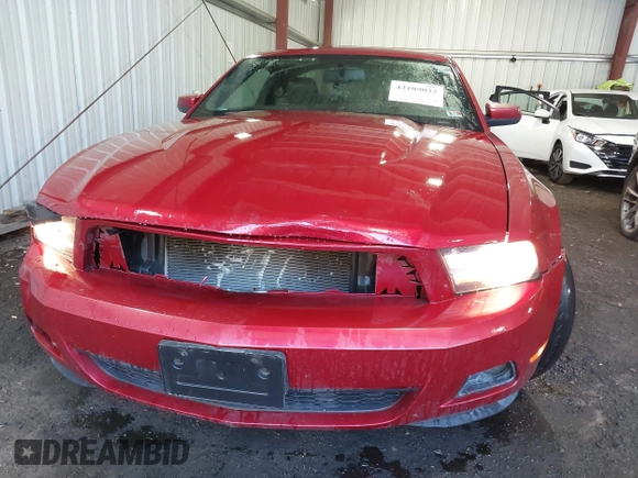 2010 Ford Mustang V6 with VIN 1ZVBP8AN8A5129893, listed as a IAAI auction lot 42189032 with 162,686 mi miles and . Bid and sale history available at DreamBid. Image 6.