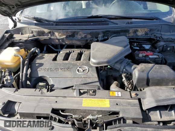 2009 Mazda CX-9 Touring with VIN JM3TB38V090175829, listed as a Copart auction lot 43685705 with 191,225 mi miles and Salvage Title. Bid and sale history available at carsss.com. Image 12.