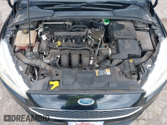 2016 Ford Focus SE z VIN 1FADP3F2XGL312445, wystawiony jako IAAI lot #42288210 z przebiegiem 64 115 mil mil oraz . Historia ofert i sprzedaży dostępna na DreamBid. Obrazek 10.