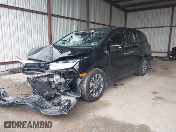 2024 Honda Odyssey EX-L with VIN 5FNRL6H65RB018602, listed as a IAAI auction lot 40823286 with 11,252 mi miles and . Bid and sale history available at DreamBid. Image 17.