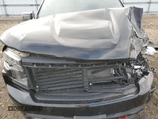 2020 Chevrolet Silverado 1500 LT Trail Boss with VIN 3GCPYFED4LG372995, listed as a Copart auction lot 49457265 with 53,597 mi miles and Salvage Title. Bid and sale history available at DreamBid. Image 12.