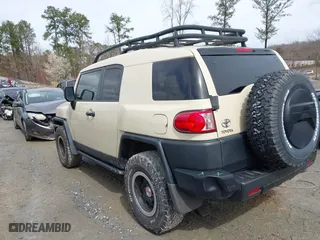 2010 Toyota FJ Cruiser with VIN JTEBU4BF1AK095319, listed as a IAAI auction lot 41721065 with 126,262 mi miles. Bid and sale history available at carsss.com. Image 14.