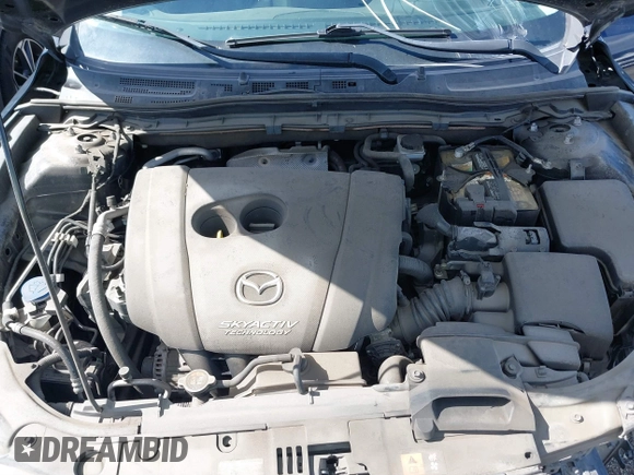 2016 Mazda 3 i Sport with VIN JM1BM1T77G1317385, listed as a IAAI auction lot 38893587 with 115,103 mi miles and . Bid and sale history available at DreamBid. Image 10.