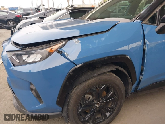 2023 Toyota RAV4 Hybrid XSE with VIN 2T3E6RFV4PW039496, listed as a IAAI auction lot 42488695 with 13,533 mi miles and . Bid and sale history available at DreamBid. Image 6.