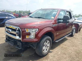 2016 Ford F-150 XLT with VIN 1FTEW1EP6GFC66565, listed as a IAAI auction lot 42388799 with 176,051 mi miles and . Bid and sale history available at DreamBid. Image 18.
