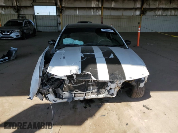 2004 Ford Mustang Standard with VIN 1FAFP40474F113842, listed as a Copart auction lot 49839455 with 257,592 mi miles and Salvage Title. Bid and sale history available at carsss.com. Image 5.