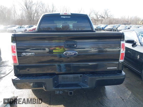 2012 Ford F-150 XL with VIN 1FTEW1CM6CFB99548, listed as a IAAI auction lot 41693501 with 129,728 mi miles. Bid and sale history available at carsss.com. Image 17.