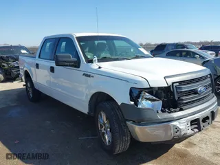 2013 Ford F-150 XL with VIN 1FTEW1CM6DKG34089, listed as a IAAI auction lot 41668428 with 173,709 mi miles. Bid and sale history available at carsss.com. Image 1.