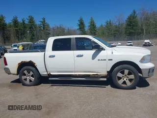 2009 Dodge 1500 SLT with VIN 1D3HV13T49S720877, listed as a IAAI auction lot 42165974 with 206,644 mi miles. Bid and sale history available at carsss.com. Image 13.
