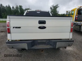 2010 Ford F-150 XL z VIN 1FTFX1CV5AKE47416, wystawiony jako Copart lot #65258895 z przebiegiem 260 458 mil mil oraz Czysty tytuł • Clean title. Historia ofert i sprzedaży dostępna na DreamBid. Obrazek 6.