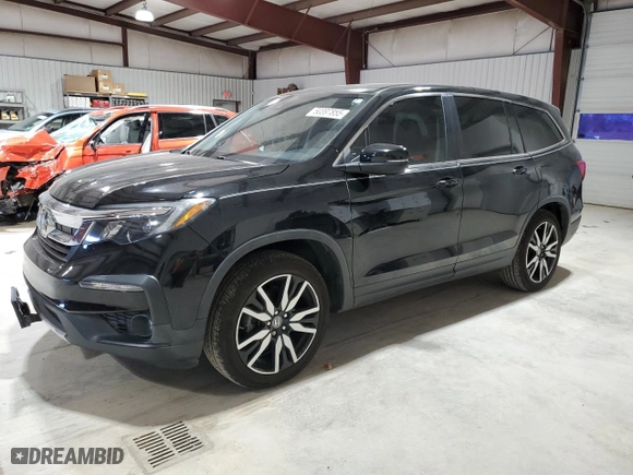 2019 Honda Pilot EX-L with VIN 5FNYF5H59KB024574, listed as a Copart auction lot 50397855 with 56,599 mi miles and Salvage Title. Bid and sale history available at carsss.com. Image 1.